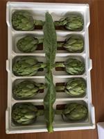 CARCIOFI 10PZ 