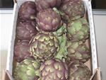 CARCIOFI 12PZ 