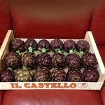 CARCIOFI 14PZ 