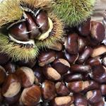 CASTAGNE cal.85/90 - 15KG